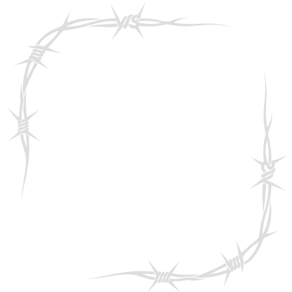 " STICKERS WIRE MIRRORS "